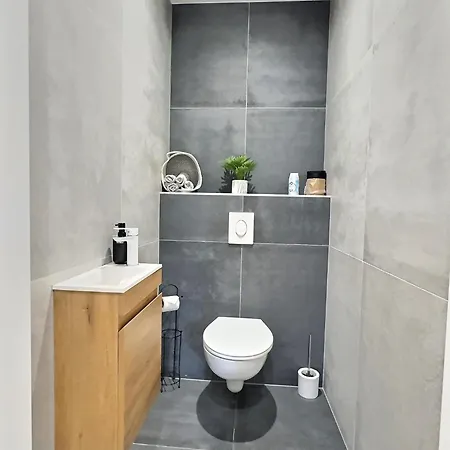 Alsace Climatisée Garage, Parking Et Terrasse Appartement