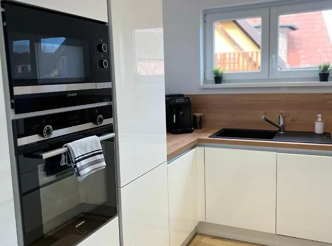 Alsace A Climatisee Garage, Parking Et Terrasse *