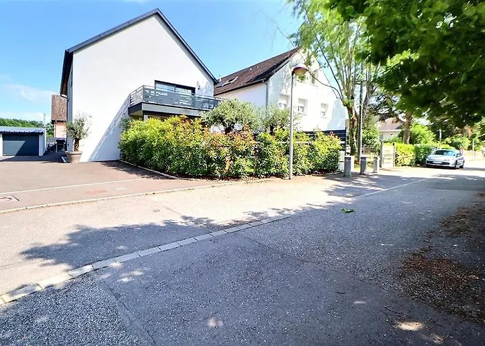 Alsace A Climatisee Garage, Parking Et Terrasse Daire