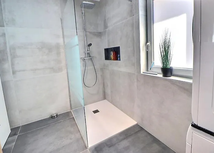 Alsace A Climatisee Garage, Parking Et Terrasse Daire Colmar