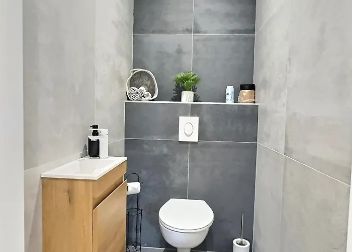 Alsace A Climatisee Garage, Parking Et Terrasse Daire