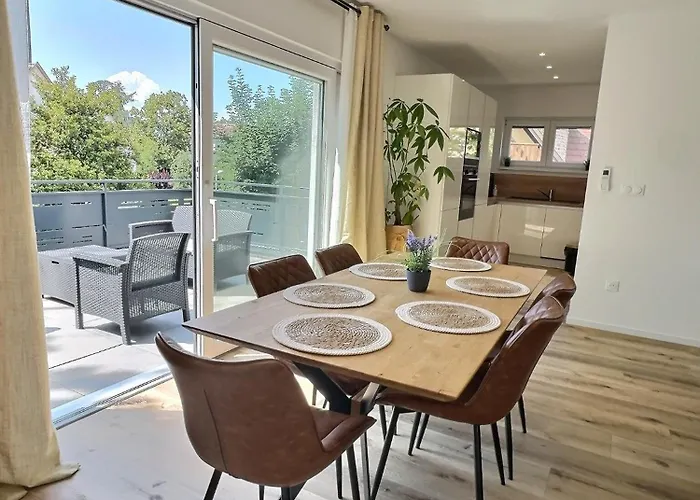 Alsace A Climatisee Garage, Parking Et Terrasse Daire *